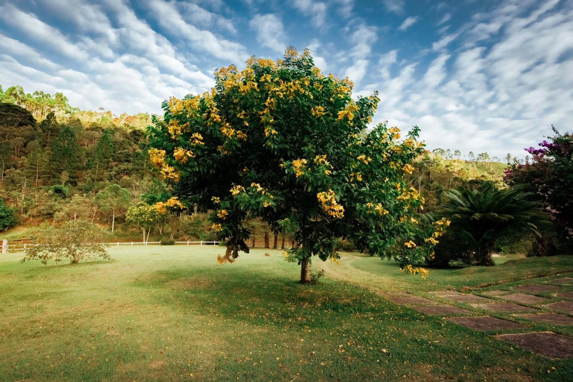 Sitio D Ouro Villa Marechal Floriano Bagian luar foto